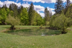 Jezero pri izviru Zmrzlik