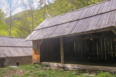 Psnakova žaga in mlin