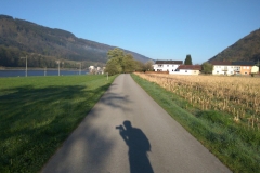 linz-kasten-12